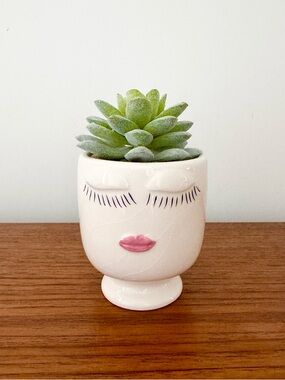 Ceramic pot with cute face and faux cactus